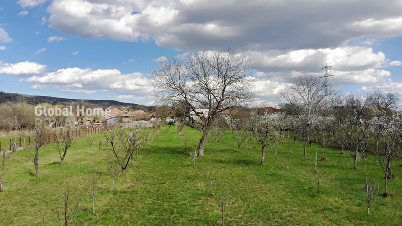 Prahova - Cornu De Jos 4898 MP Teren Intravilan  Toate Utilitatile Prezente